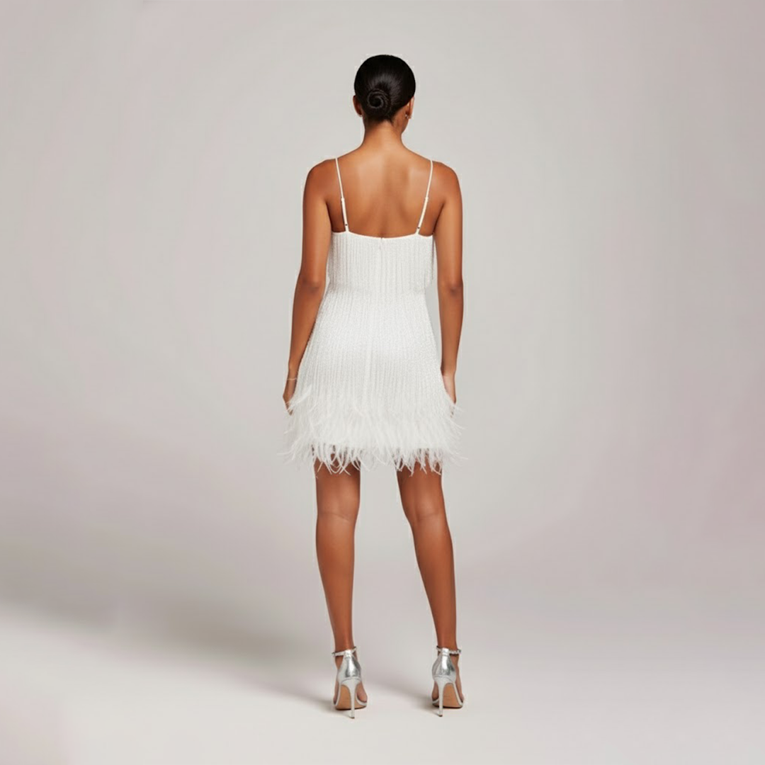 Anastasia | Fransar &amp; Fjäderpartykjol